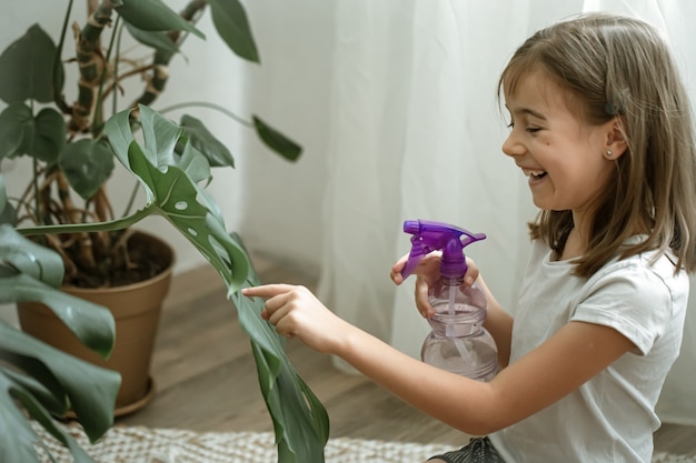 植物モンステラの世話をして 観葉植物の葉をスプレーする少女 無料の写真