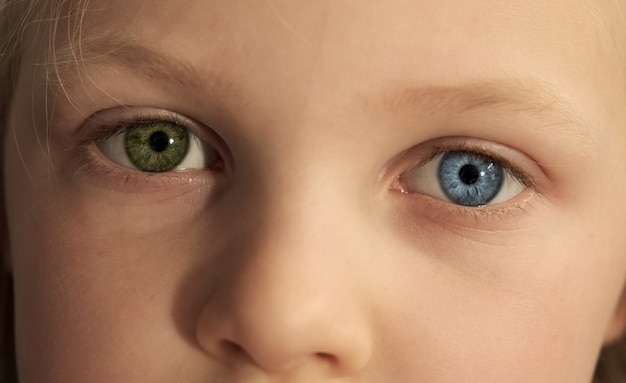 さまざまな色の小さな子供の目 完全な虹彩異色症の子供 青と緑の目 プレミアム写真
