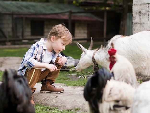 Free Photo | Little kid playing with farm animals