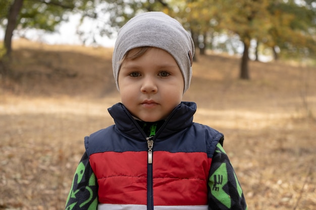 小さな3歳の男の子の屋外の肖像画 公園を歩いている幼児の男の子 森のキャンプでフリースジャケットとノースリーブのジャーキンのかわいい男の子 プレミアム写真