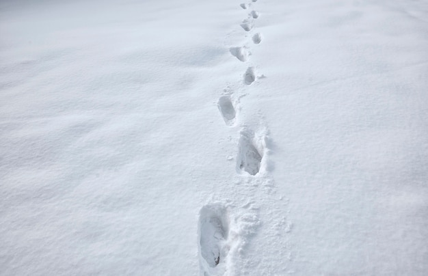 Premium Photo | Lots of footsteps on the snow