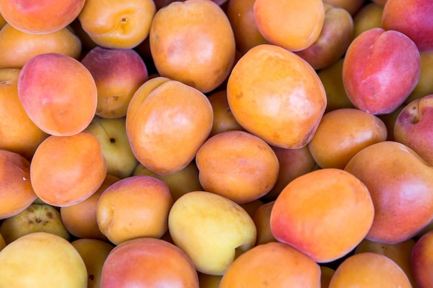 Premium Photo | Lots of fresh apricots fruits plucked from branch of tree.