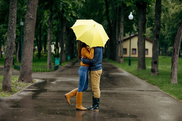 夏の雨の日 公園でキスするカップルが大好きです 男と女は雨の傘の下に立つ 散歩道のロマンチックなデート 路地の雨天 プレミアム写真