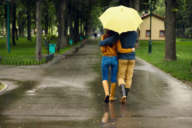 サマーパーク 背面図 雨の日に傘の抱擁とカップルが大好きです 雨 路地の雨天の散歩道での男女のレジャー プレミアム写真