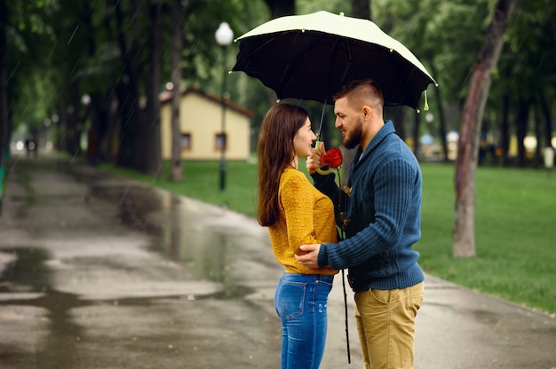 雨の日の夏の公園で傘の抱擁とのカップルが大好きです 雨 路地の雨天の散歩道にバラを持つ男女 プレミアム写真