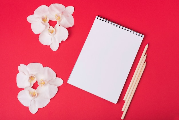 Lovely Flowers Concept With Modern Notebook Photo Free Download