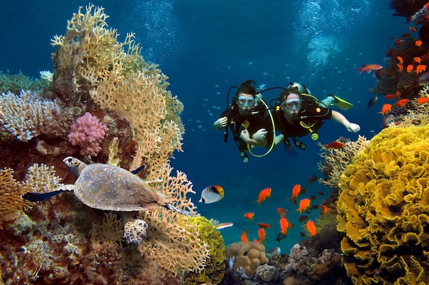  The loving couple dives among corals and fishes in the ocean Premium Photo