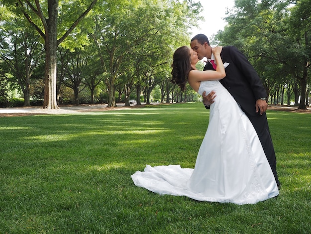木の完全な緑豊かな公園でキスする夫婦を愛する 無料の写真