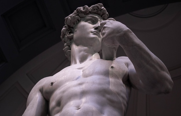 Free Photo Low Angle Shot Of Michelangelo S David In The Gallery Of The Academy Of Florence