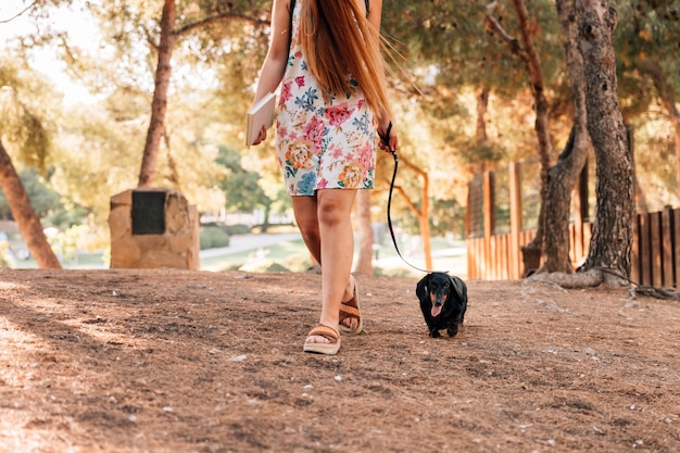 Low section view of a woman walking with her dog in park Free Photo