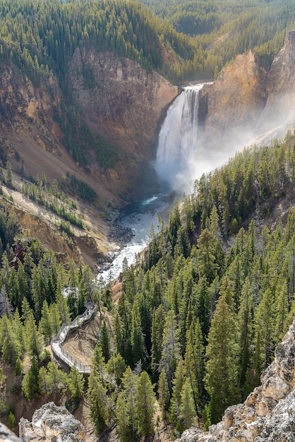 Premium Photo | Lower falls in yellowstone national park