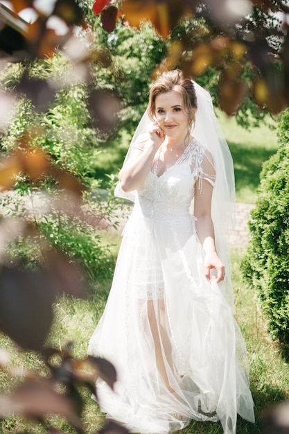 Free Photo | Luxurious bride dresses in sunlight