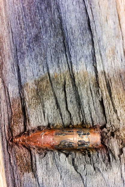 Premium Photo | Machine gun bullet stuck in the tree