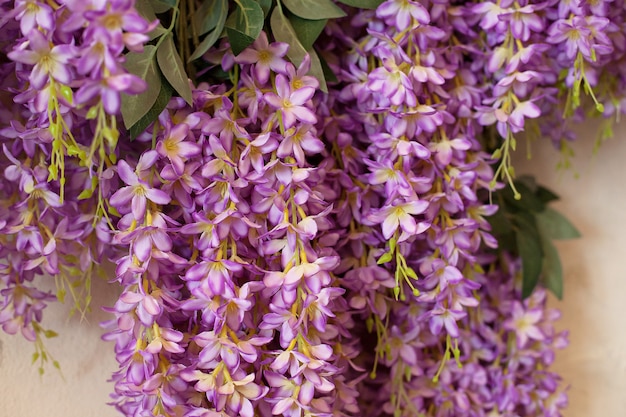 紫の藤の花のマクロ 藤の花 庭には中国の藤と日本の藤floribunda Macrobotrisが咲きます 春の時間 春の庭に咲く美しい紫色の花 プレミアム写真