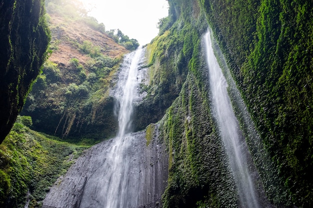 Premium Photo | Madakaripura waterfall east java