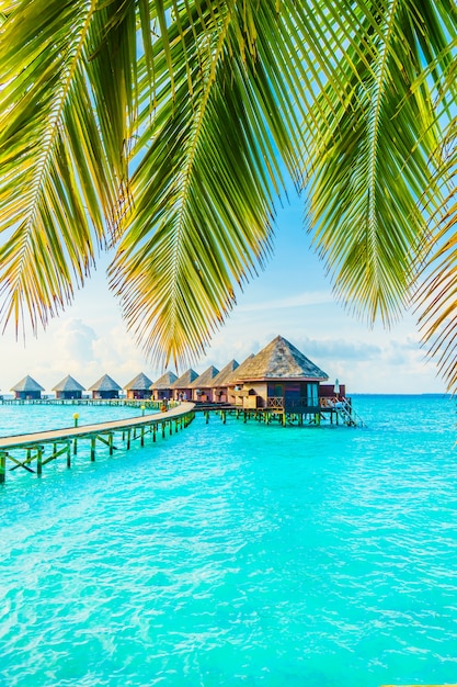 Free Photo | Maldives island