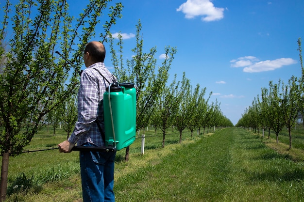 Male agronomist treating apple trees with pesticides in orchard Free Photo