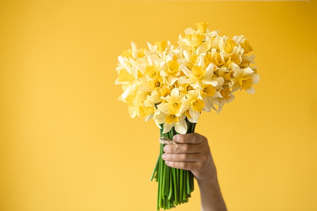 黄色い水仙の花束を持つ男性の手 無料の写真