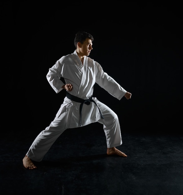 Premium Photo | Male karate fighter in a combat stance. man on karate ...