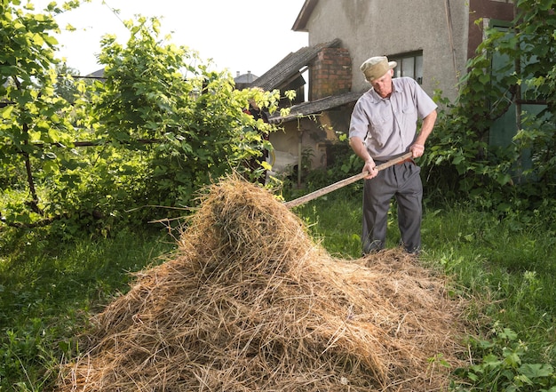 Premium Photo | Man farmer turns the hay with a hay fork in the garden