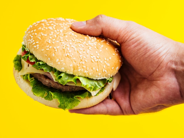 Man Holding Cheeseburger With Seeds Photo 