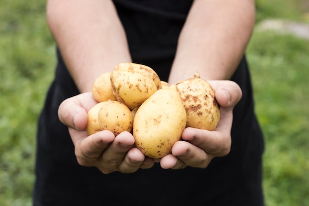 Man holding fresh potatoes Photo | Free Download