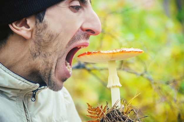 Человек ест мухомор. выборочный фокус. природа. | Премиум Фото