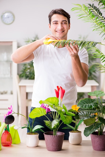 Premium Photo | Man taking care of plants at home