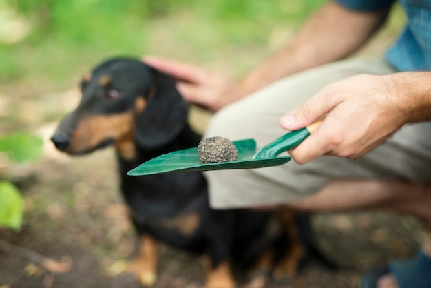 訓練を受けた犬が森でトリュフのキノコを見つけるのを手伝ってくれたことに感謝する男 無料の写真