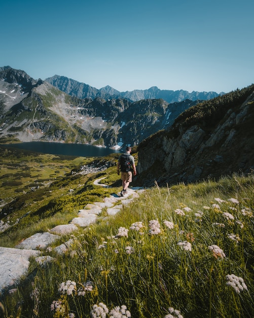 Free Photo | Man walking on a stone pathway surrounded by mountains ...