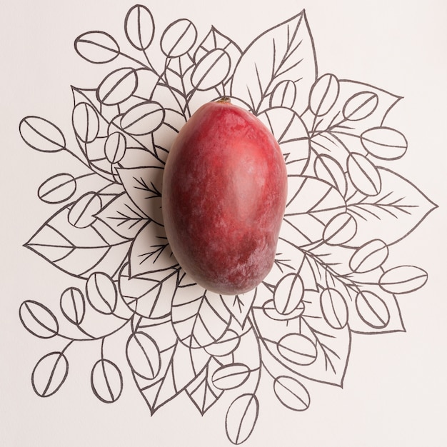 Free Photo Mango Fruit Over Outline Floral Background