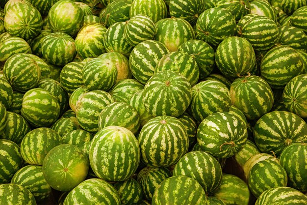 Premium Photo | Many big green and yellow watermelons at a street fair ...