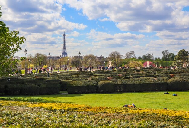 Premium Photo Marvelous Tuileries Garden Of Louvre Palace In Spring