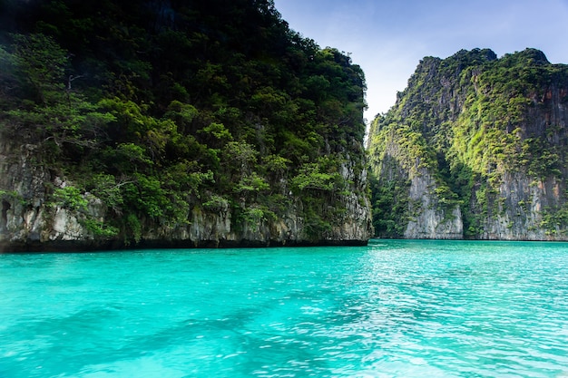 Premium Photo | Maya bay phi phi leh island, krabi thailand