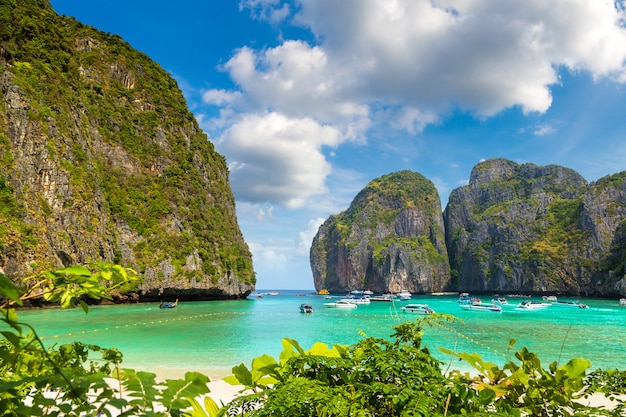 Premium Photo | Maya bay on phi phi leh island, thailand