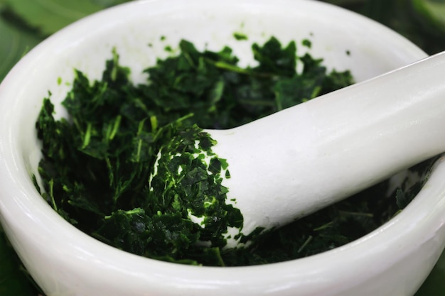 Premium Photo | Medicinal neem leaves crushing in a mortar with pestle