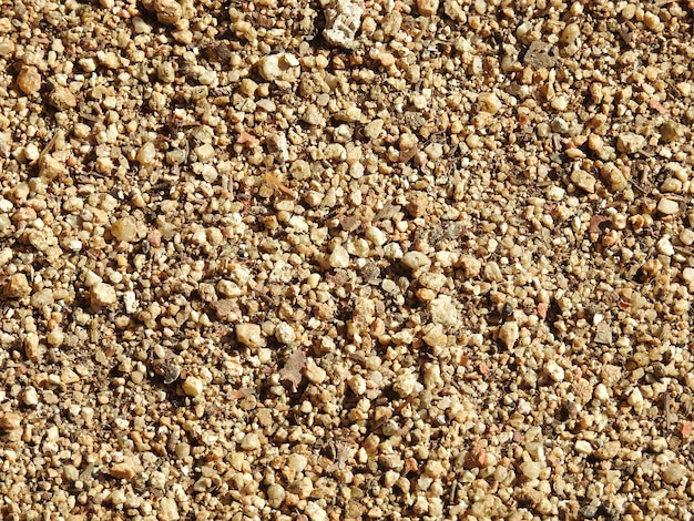 Premium Photo | Medium grain sand