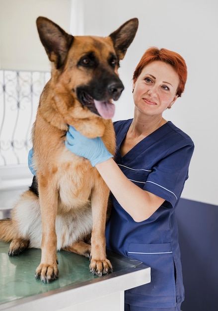 Medium shot cute dog at veterinary clinic Photo | Free Download