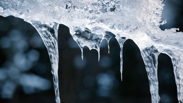 Premium Photo | Melting icicles