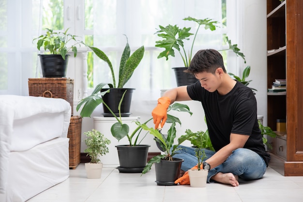 Find Your Green Thumb With These Great Tips On Gardening
