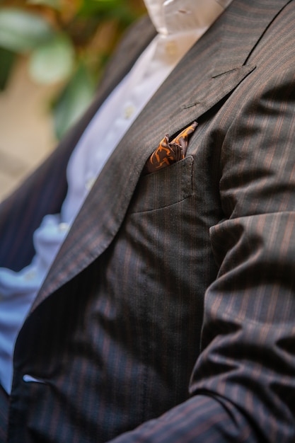 Free Photo | Mens suit with stripes on it