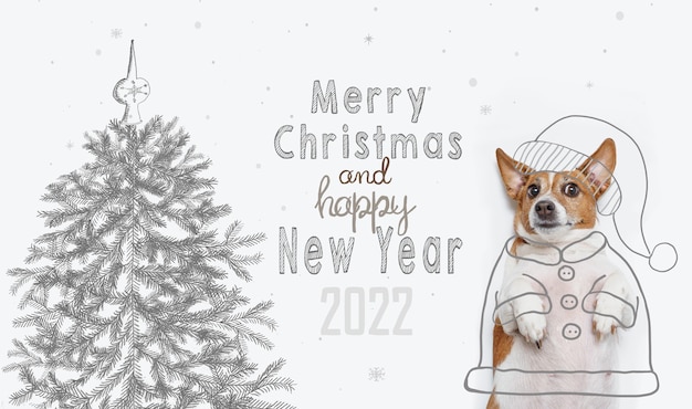 Got A New Puppy For Christmas 2022 Premium Photo | Merry Christmas And Happy New Year 2022. Cute Dog With  Santa Costume And Tree Drawing On Chalkboard. Christmas Holiday Concept.