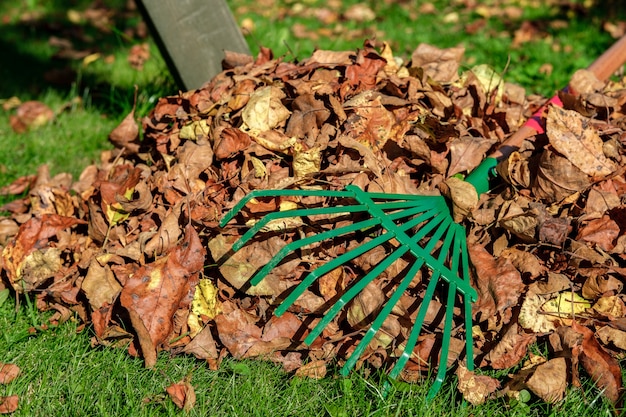 Premium Photo | A metal green fan rake lies, handle up, on a heap with ...