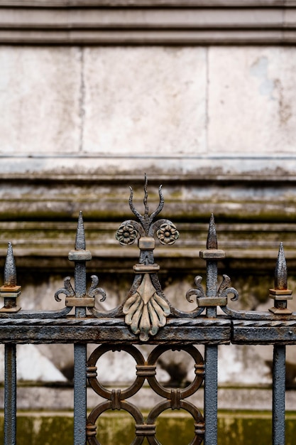 Premium Photo | Metal pommel with flowers and a wavy trident on a ...