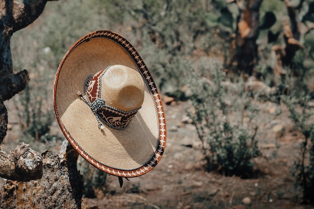 Premium Photo Mexican Charro Hat