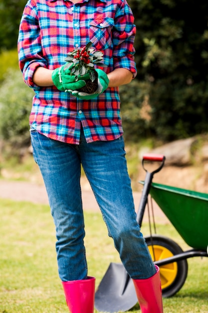 Premium Photo Midsection Of Woman Holding Potted Plant