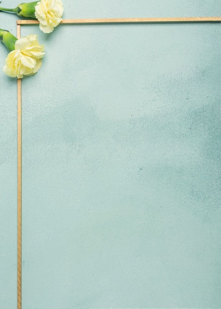 青の背景にカーネーションの花を持つシンプルなフレーム 無料の写真