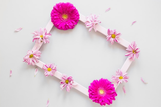 無料の写真 ガーベラの花と花びらを持つシンプルなフレーム