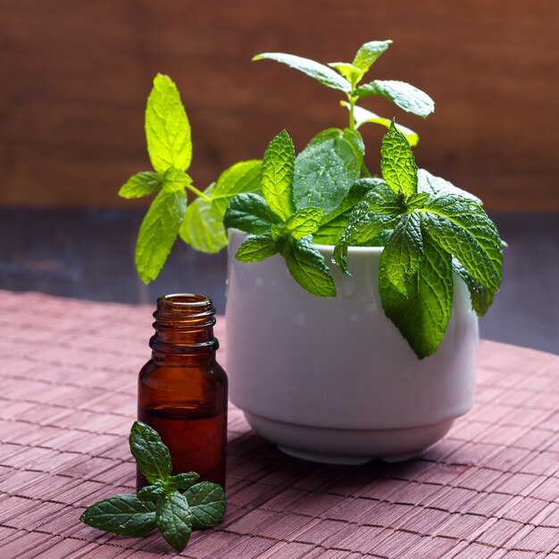 premium-photo-mint-essential-oil