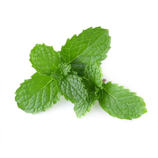 Premium Photo | Mint leaves isolated over a white background.